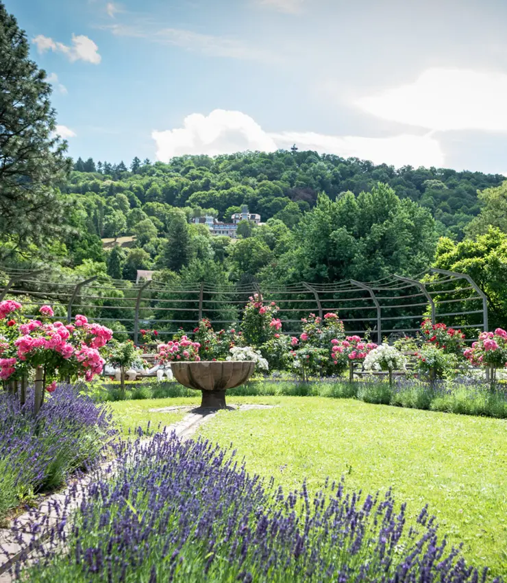 Freiburger Schlossberg - Naherholung in fünf Minuten